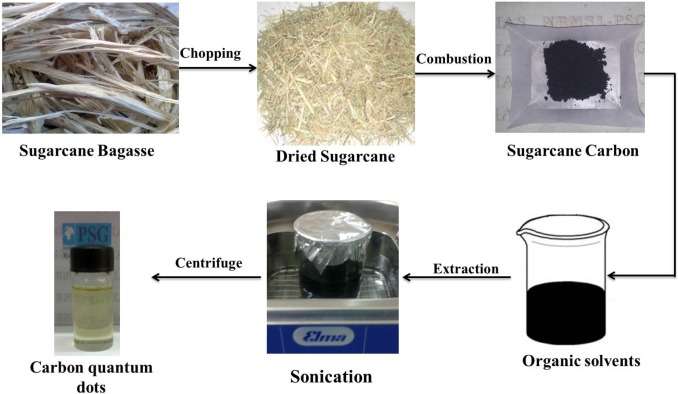 Researchers Pioneer Alternate Use For Sugarcane Waste