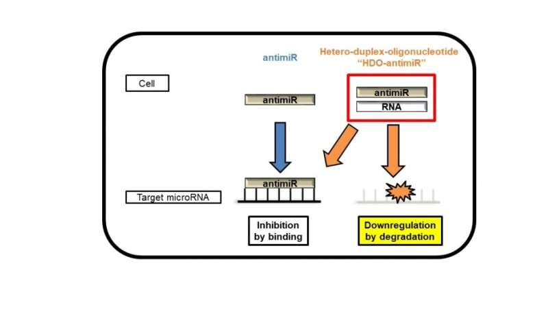 hdo-antimir represents a new weapon in the fight