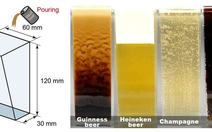 The Physics Behind the Bubble Cascade That Forms in a Glass of Guinness Beer