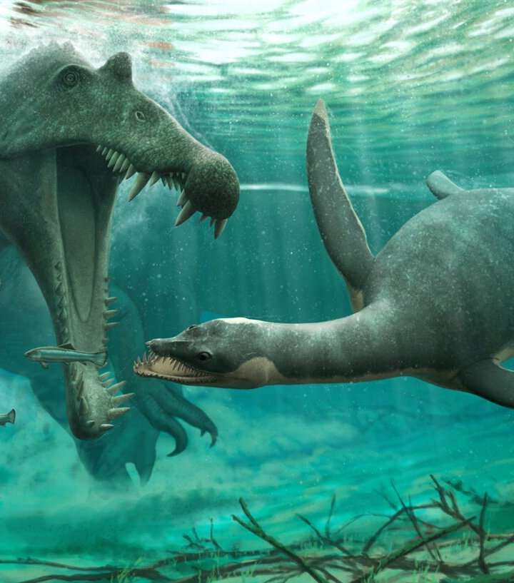 Plesiosaur fossils found in the Sahara suggest they weren't just marine  animals