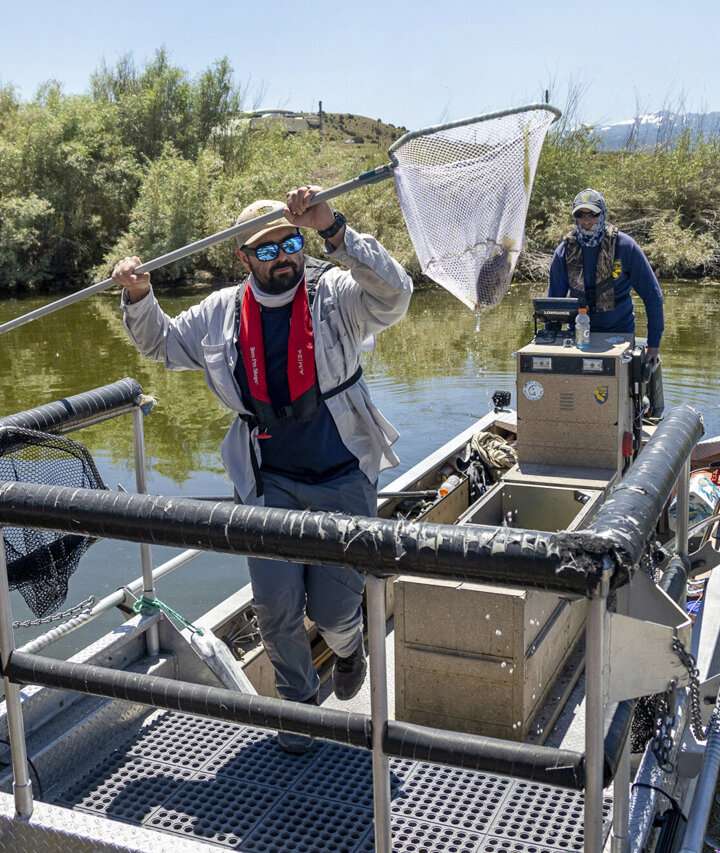 California aims to introduce more anglers to native warm-water tolerant  sunfish as planet heats up