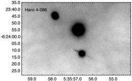 New Herbig-Haro Jets in Orion