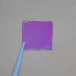 Colored solar cells could make display screens more efficient