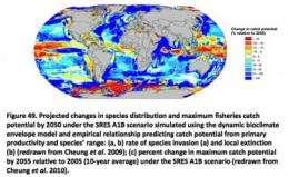 Major threats foreseen due to Europe's changing marine environments
