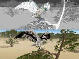 3D animation helps preserve Indigenous history