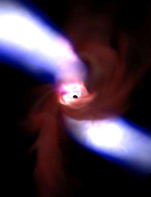 Magnetism combines with gravity to shape black hole's environment