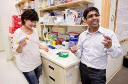 Salk study may offer drug-free intervention to prevent obesity and diabetes