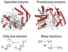 enzymes promiscuous metabolism prevalent guztiak direla diego dute