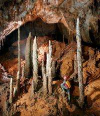 Tropical climate stored in stalagmites