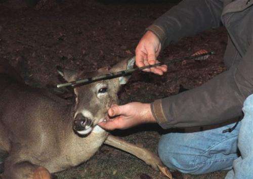 NJ biologists remove arrow from deer's head