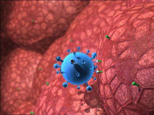新型流感药物可以阻止病毒的传播
