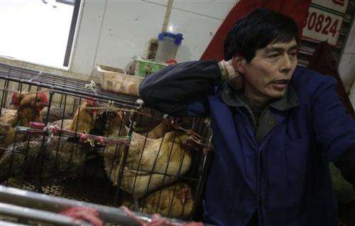 中国杀死市场鸟类在鸽子中发现的流感