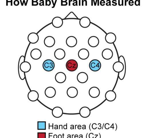A first step in learning by imitation, baby brains respond to another's actions