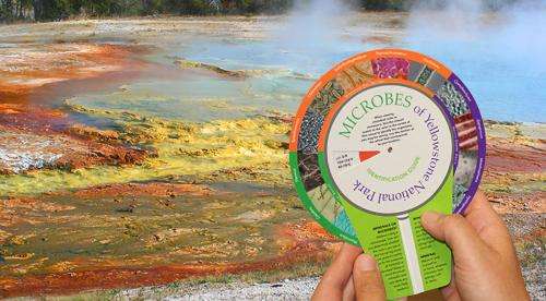New guide, color wheel help Yellowstone visitors identify microbes in hot springs