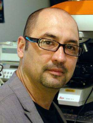 Professor wins medal for graphene research