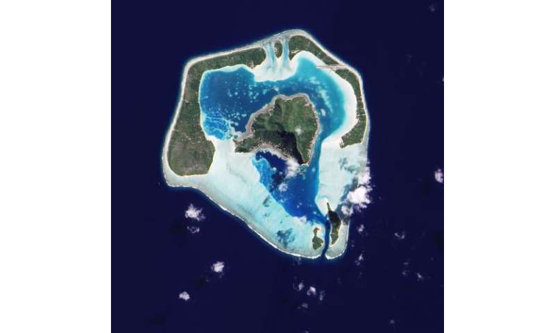 Revising Darwin S Sinking Island Theory New Study Helps