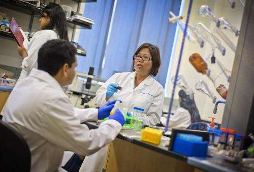 UT Arlington bioengineer wants to use nanomedicine to treat peripheral artery disease