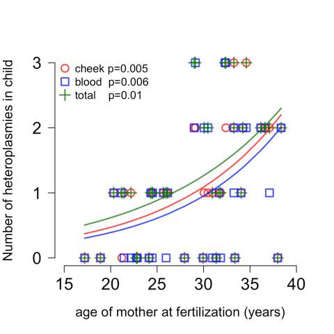 Greater rates of mitochondrial mutations discovered in children born to older mothers
