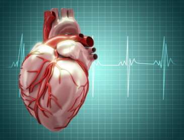 New drug could protect the heart from damage following heart attack