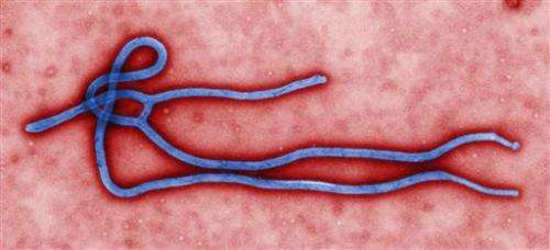 Top Sierra Leone doctor dies of Ebola