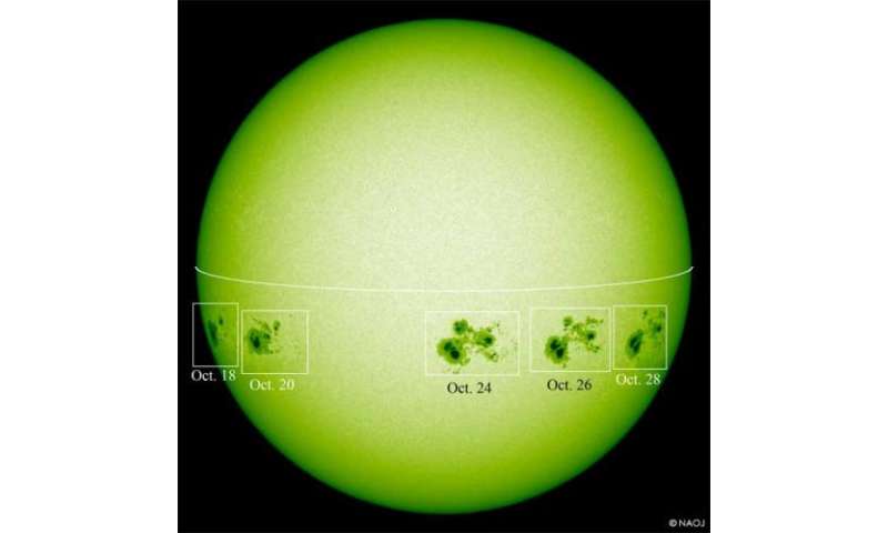 Huge sunspots and their magnetic structure observed by Hinode