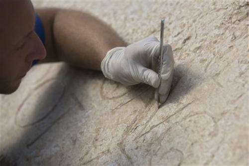 Jerusalem stone may answer Jewish revolt questions