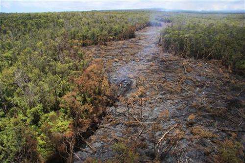 Lava in Hawaii flows 800 feet a day toward homes (Update)