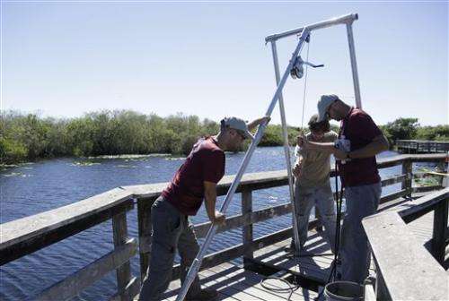 Everglades trail surveyed for cultural artifacts