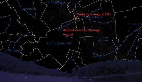 Prospects for the 2014 Perseids