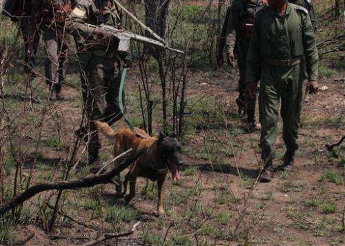 South African academy trains anti-poaching dogs