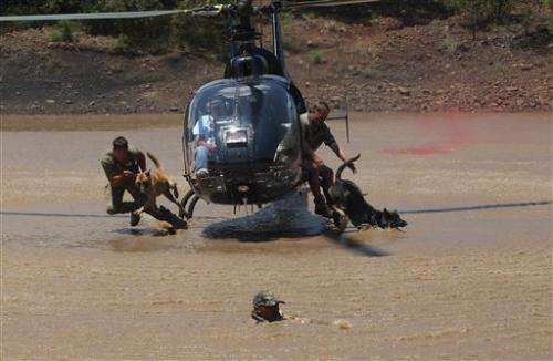 South African academy trains anti-poaching dogs