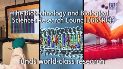 Impacts of bioscience #1: 1994-1999