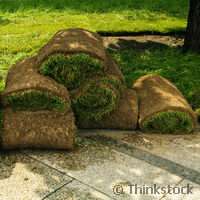 Project tackles growing pains of Europe´s grass producers
