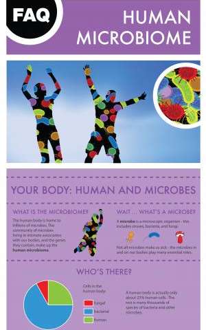 Report answers questions about the human microbiome and its role in health, obesity