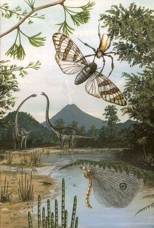 Unique images bring fossil insects back to life