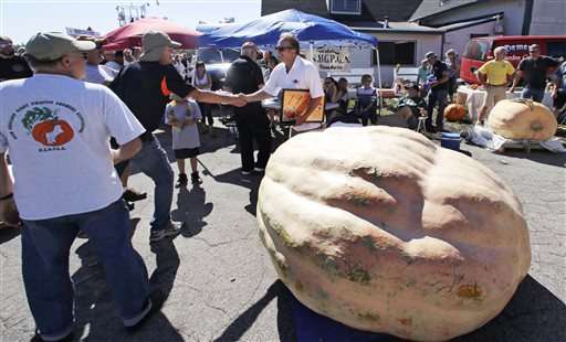 How do you grow a 2,000-pound pumpkin? It's complicated