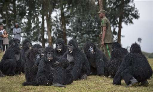 Rwanda names 24 baby mountain gorillas in annual tradition
