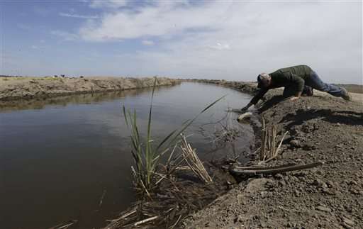 California farmers agree to drastically cut water use
