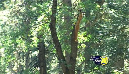 Camper deaths, presence of plague darken summer at Yosemite
