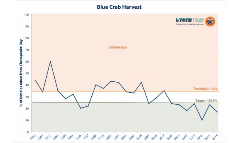 Scientific survey shows modest improvement in blue crab stock