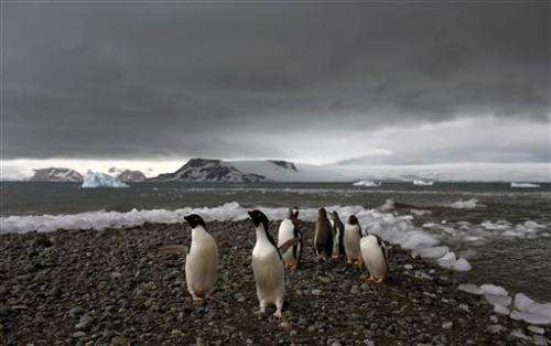 Antarctica: Mystery continent holds key to mankind's future
