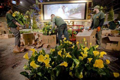 Lights, camera, blossom! Disney films inspire floral fantasy