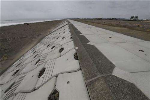 Japan opts for massive, costly sea wall to fend off tsunamis