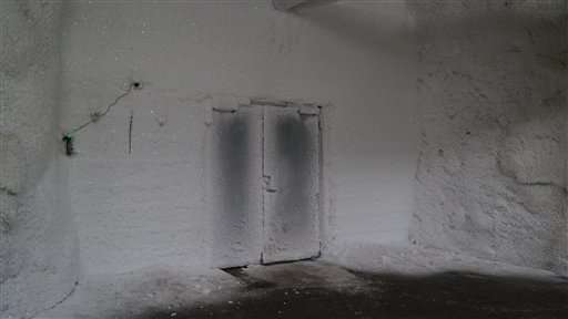 Syrian seeds withdrawn from Arctic 'doomsday vault'