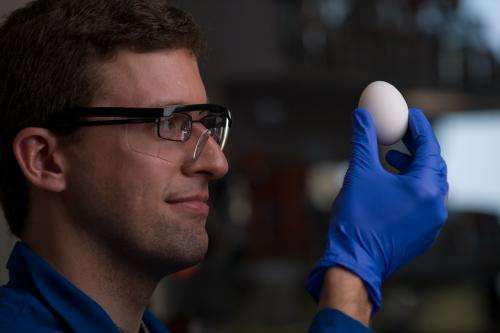 Chemists find a way to unboil eggs