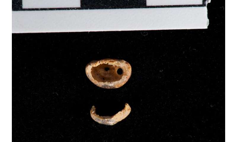 DNA analysis of Denisovan molars offers more clues about ancient human relative