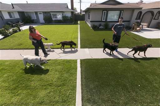 Brown lawns loom this summer in California