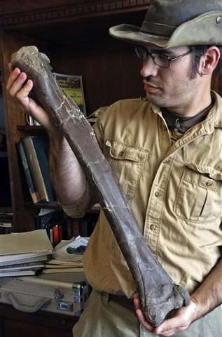 Dakotaraptor ruled Hell Creek Formation as lethal predator
