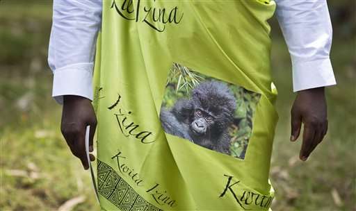 Rwanda names 24 baby mountain gorillas in annual tradition