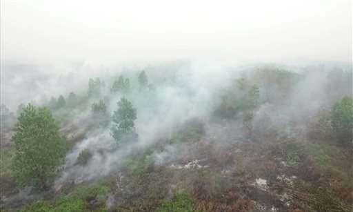 Vast forest fires in Indonesia spawn ecological disaster
